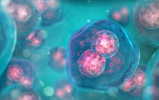 Cells in the energy test