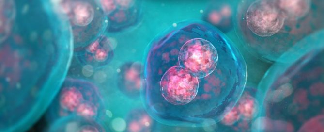 Cells in the energy test